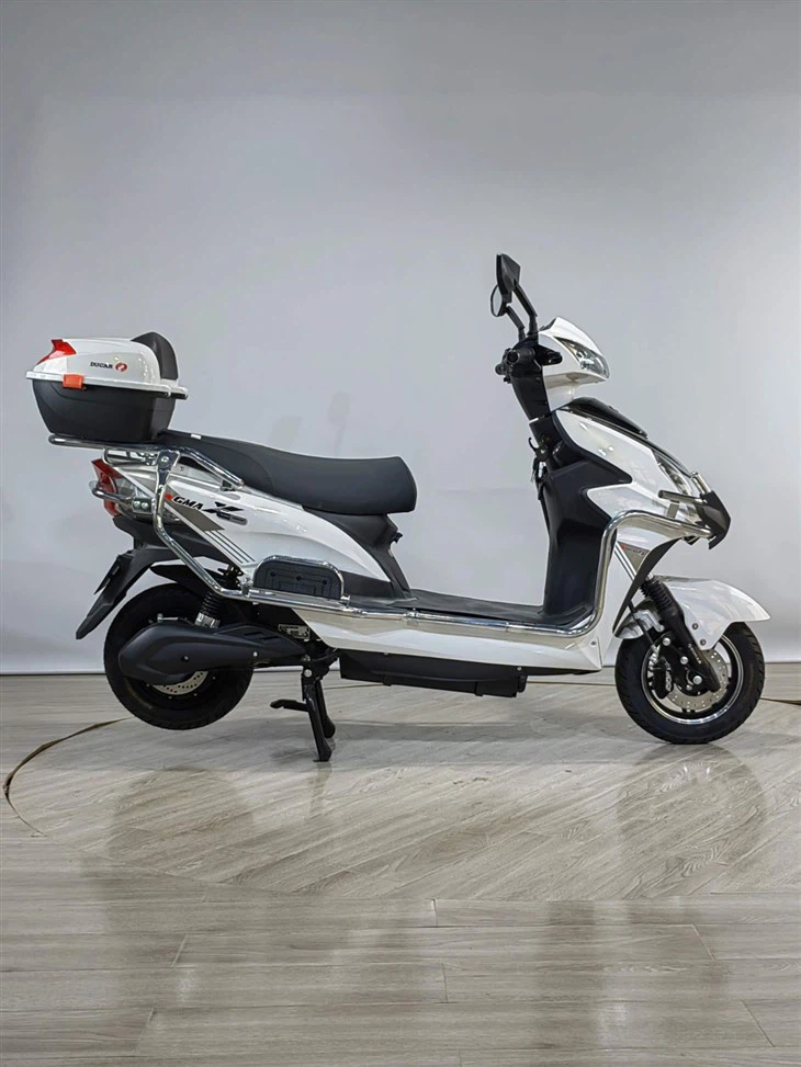 1000W Electric Motorcycle